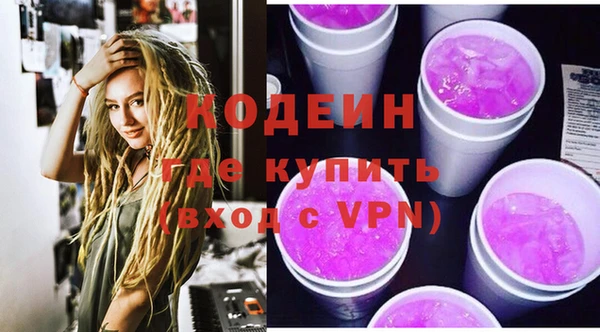 стаф Ельня